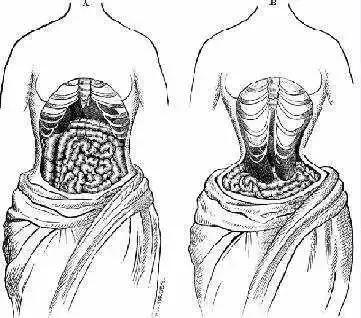 很悲哀的事，她那么美，却要被人骂