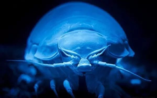 资深玩家推荐旅游,日本海滨度假胜地