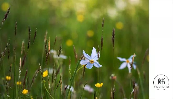 要怎么处理自己的情绪才最有效,人应该如何正确的控制自己的情绪