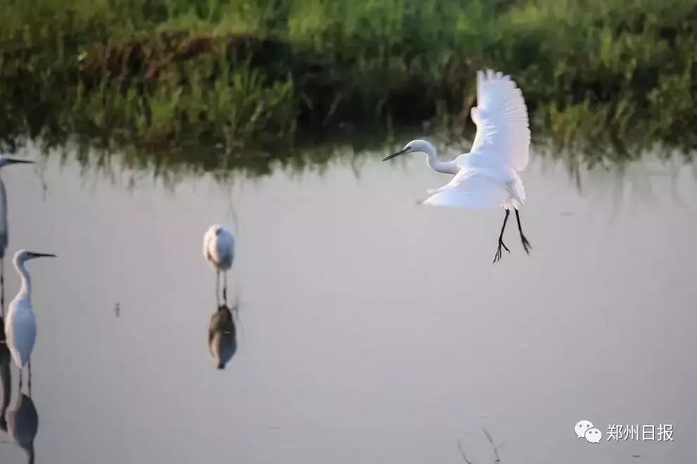 向全国推介郑州之惠济区：这里是山水惠济