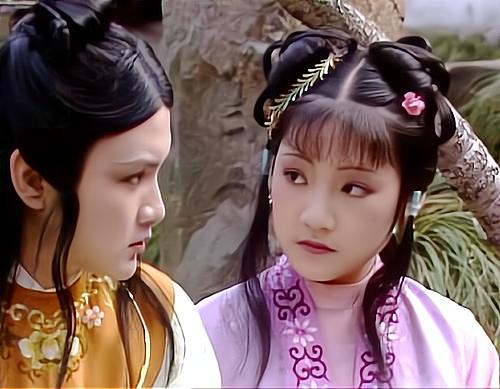 雪雁的寓意和象征是什么,雪雁和紫鹃的区别