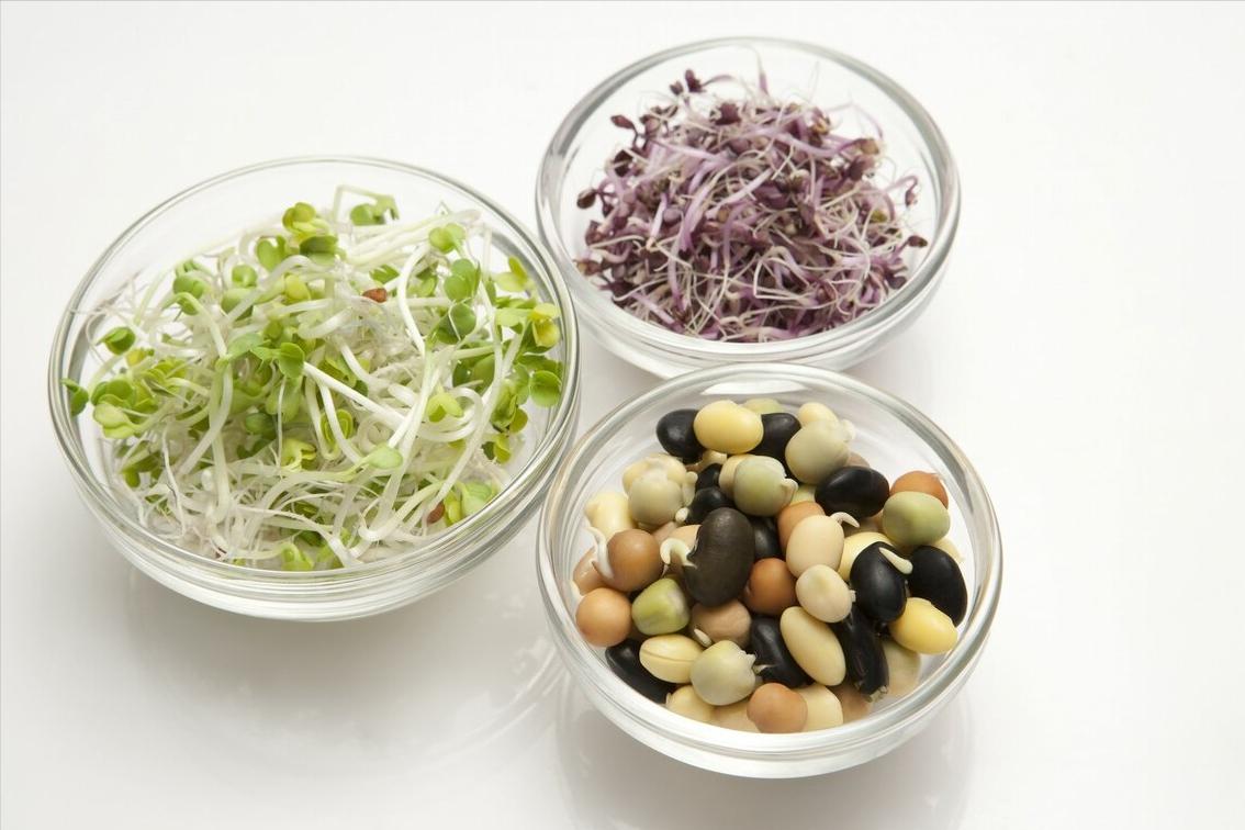 蔬菜种子贵吗,蔬菜秧苗贵吗