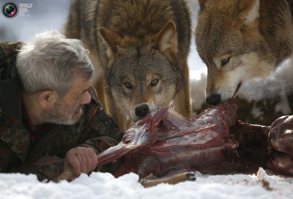 辟谣!胎盘到底是“十全大补”还是在吃蛋白质?看完你还要吃吗?