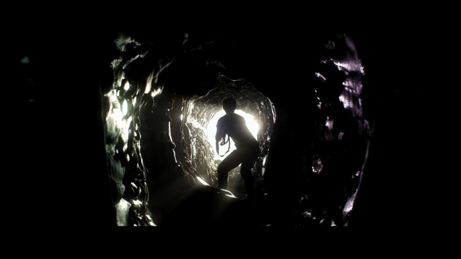 湮灭电影深度解析,湮灭电影到底湮灭了什么