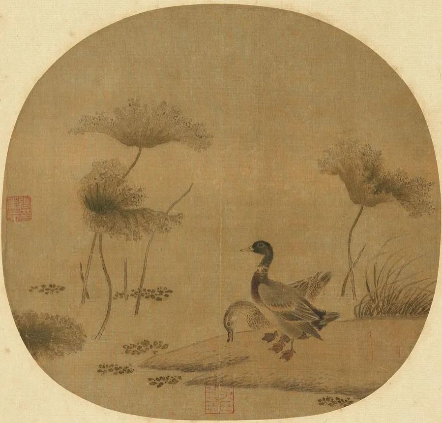 古人为什么说水至清则无鱼,古人说水是什么