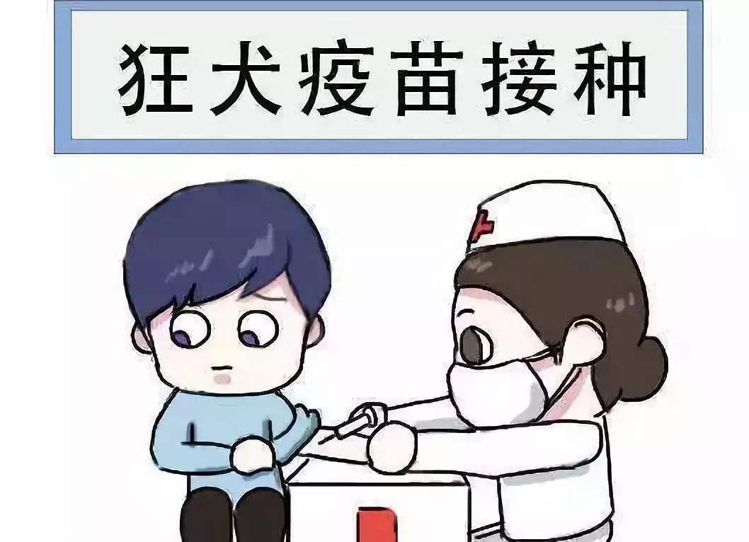 狗被咬伤大概需要多少医药费,平安保险狗咬伤能报销多少钱