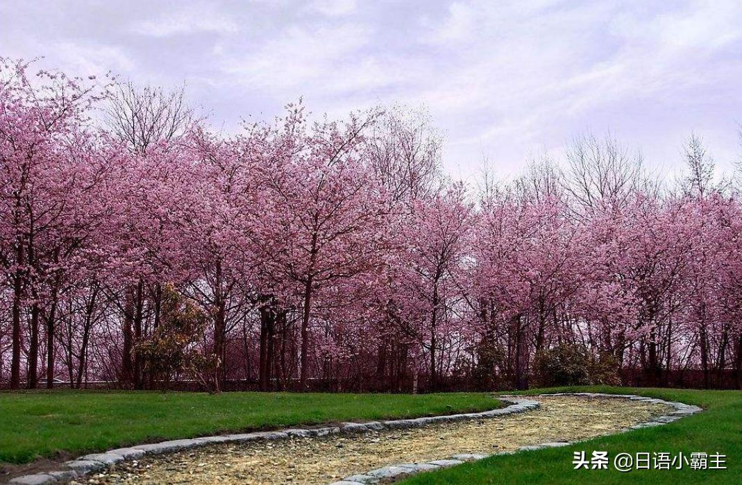 日语会话天气怎么说,日语交流需要哪几句日语