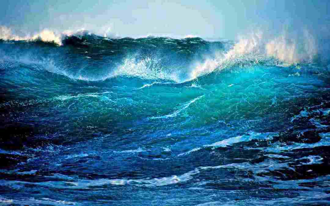 他们为什么去创业,他们为啥选择返乡创业