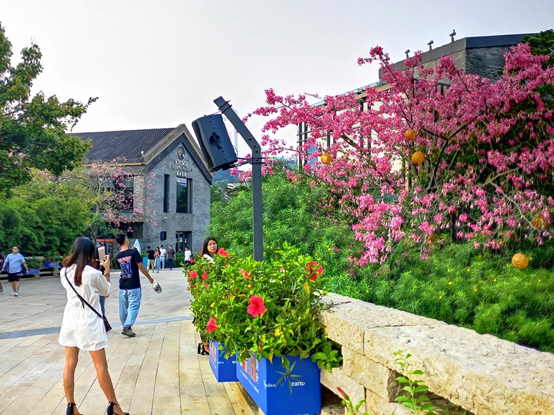 30天实拍深圳经济实力第一区，看看深圳南山区颜值怎么样？