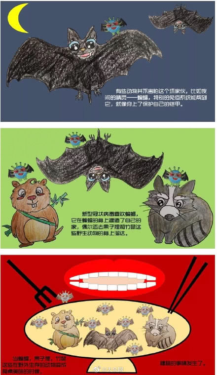 让我们简单了解一下新型冠状病毒,带你全面了解新型冠状病毒