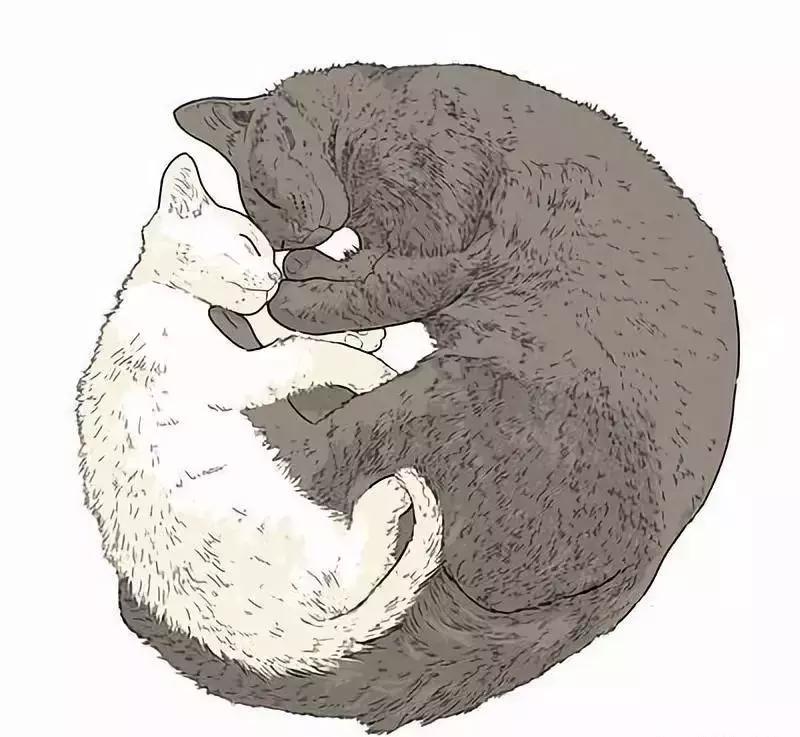 解析女性的各种*梦春**——是否有一种你做过？