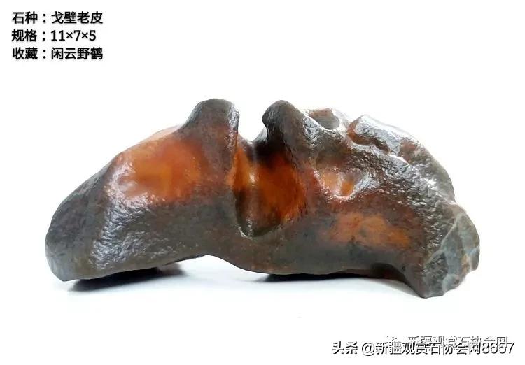 鎴堝鑰佺毊,鎴堝鑰佺毊鍜屾按鏅剁毊