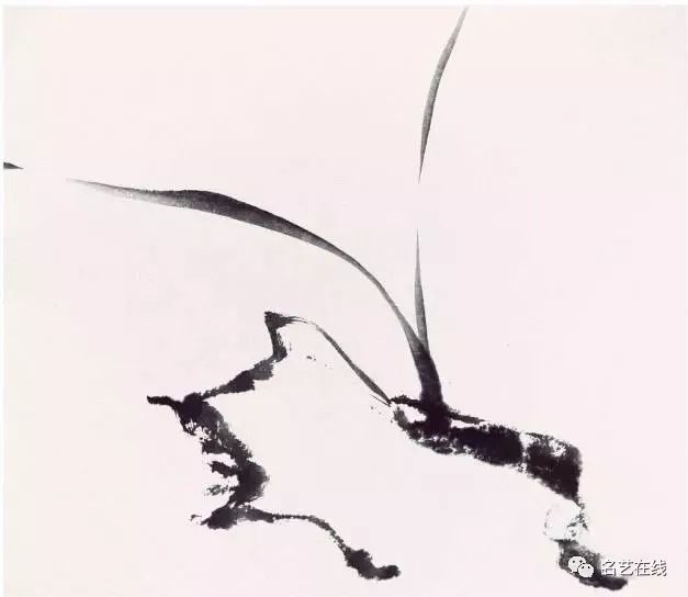 霍春阳兰花画法视频教程,霍春阳兰花绘画视频