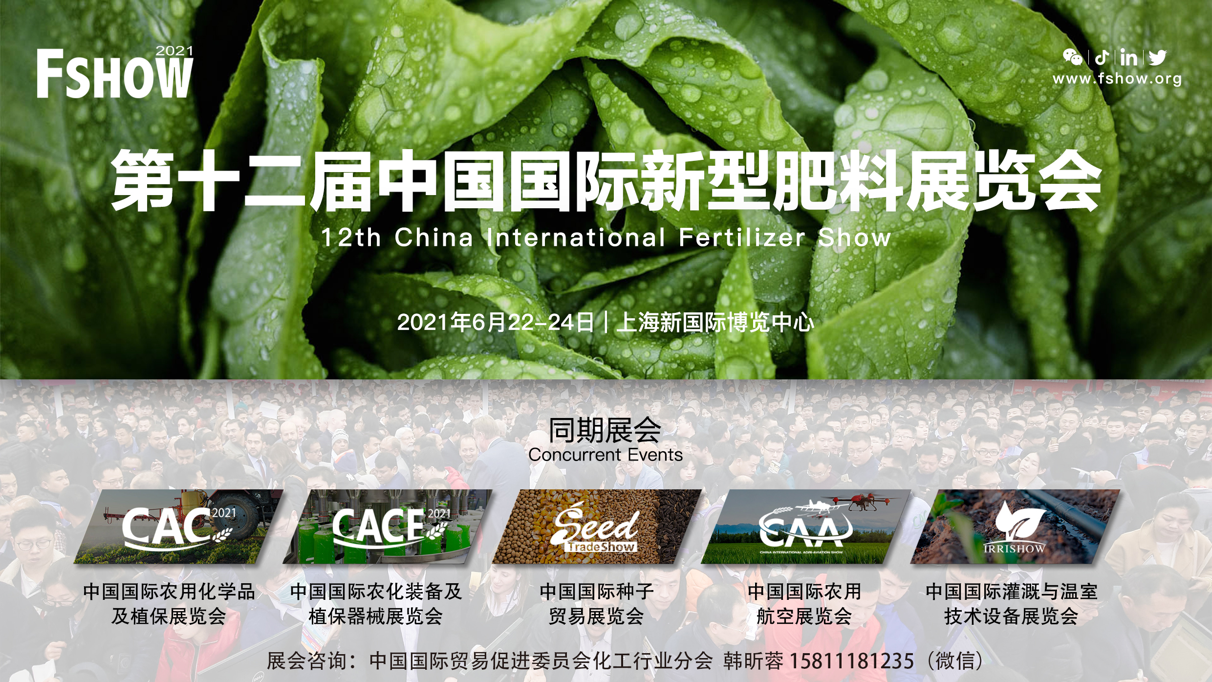 镁元素对植物的作用,镁种类的作用与功效有哪些