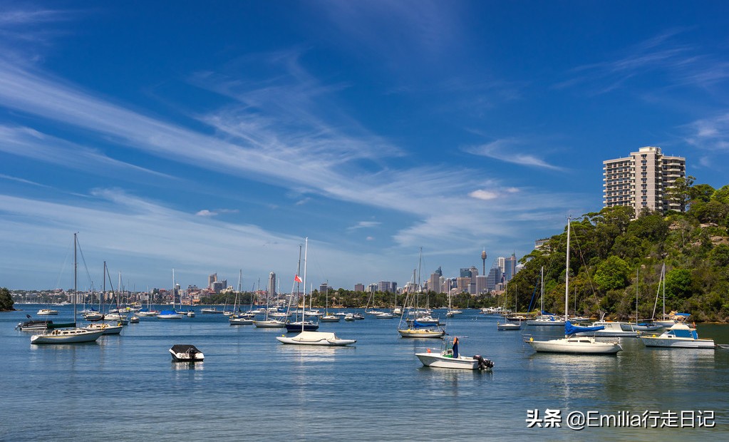 澳洲人居住的真实生活,在悉尼的感受