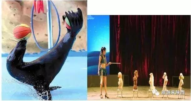 国庆节的袁家村,陕西袁家村游玩攻略