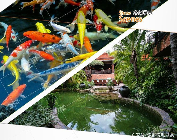 锦鲤鱼池过滤毛刷品牌,锦鲤鱼池过滤毛刷304不锈钢