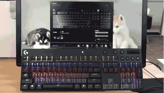 罗技机械键盘g610按键更换,罗技g610键盘红轴青轴价格