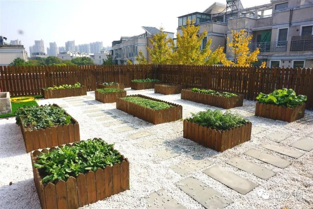 宝山外国语幼儿园,上海顶尖国际幼儿园