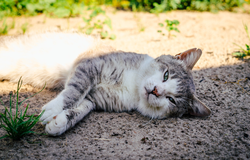 浅说“蹲族”｜如何拯救你的无聊生活？