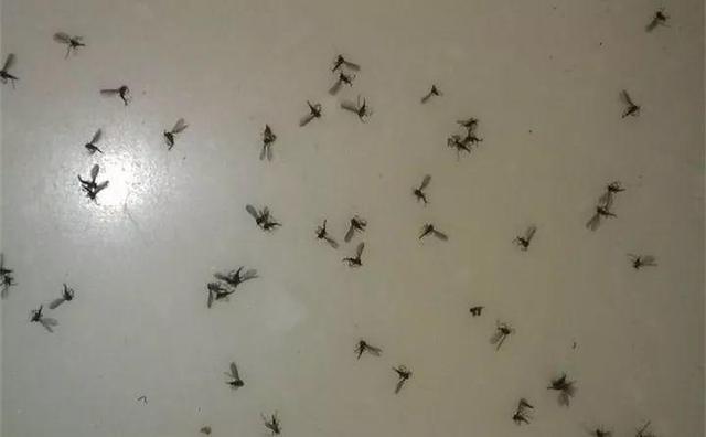 抓一把沙子,抓一把沙子让它飞起来