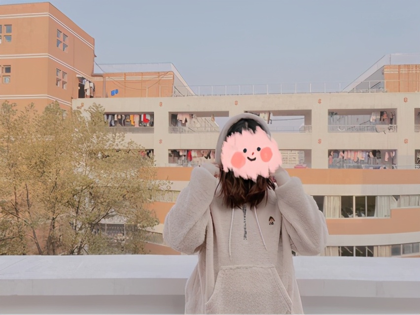 棕色连帽卫衣厚款推荐,连帽卫衣推荐重磅春秋