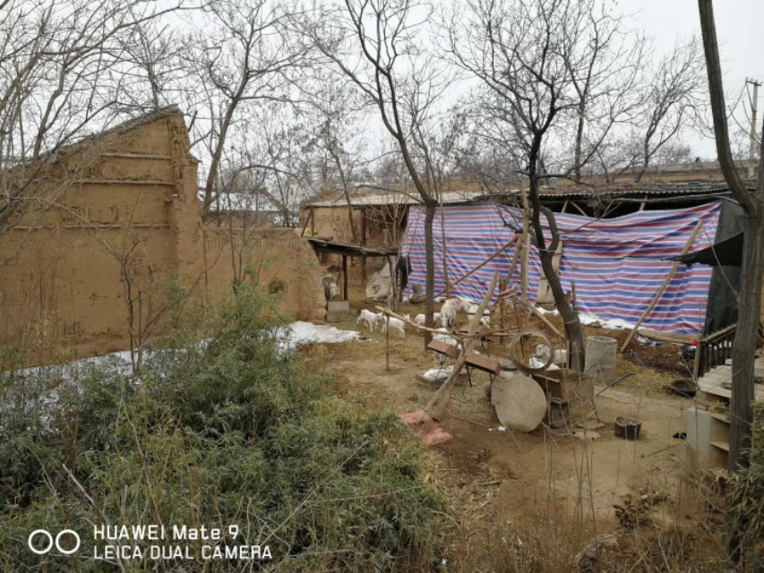 三农乡村振兴陕西,富平乡村振兴