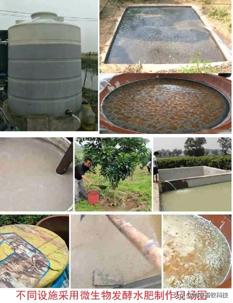 鸡粪有机肥除臭最有效的方法,鸡粪怎么发酵做养花肥料