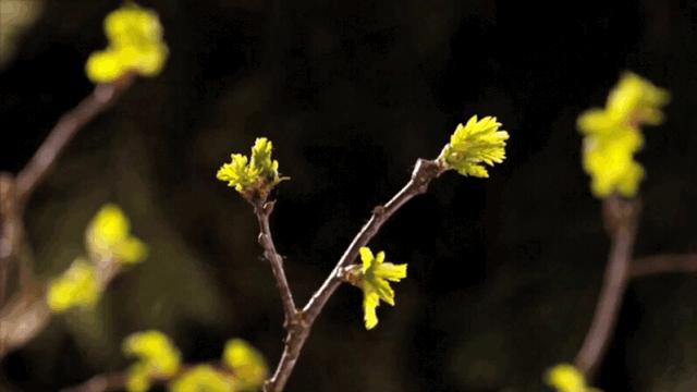 陕西秦岭最美的小城在哪里,秦岭深处的小县城暗藏着绝美秋色