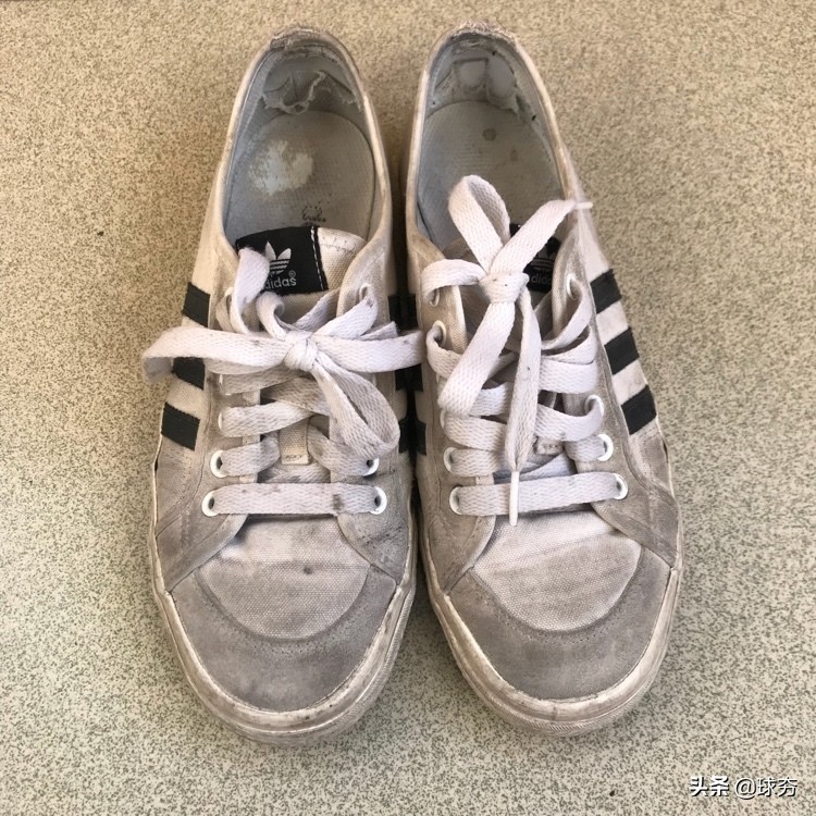 三叶草自粘款推荐,三叶草新款穿搭