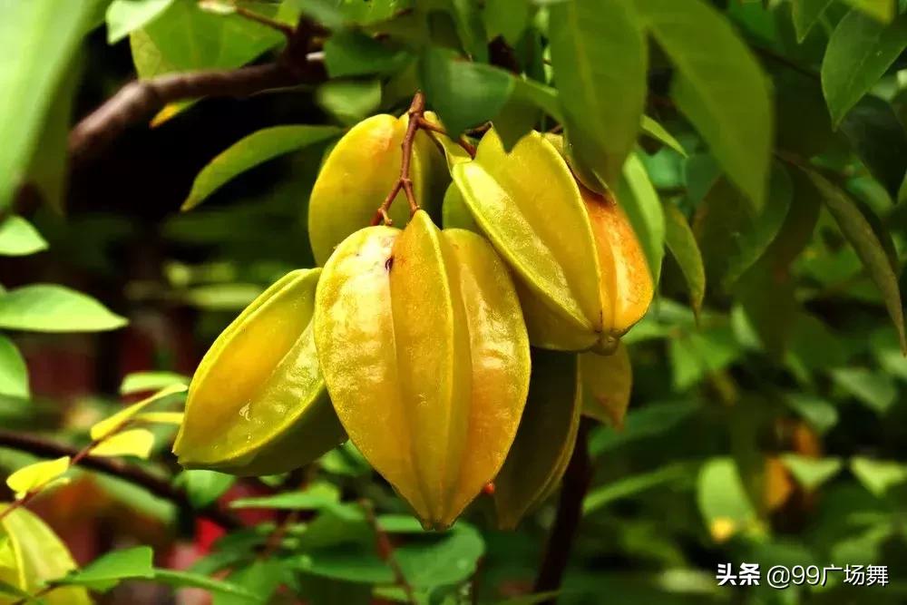 一沾嘴就伤肾的5种食物,有人爱吃!尤其第一种,没几个人知道