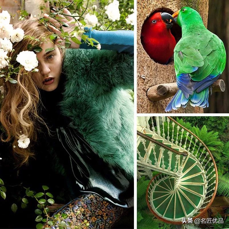 爱是一道光!治愈系祖母绿,宝石盛开的花园,绝美惊艳400年