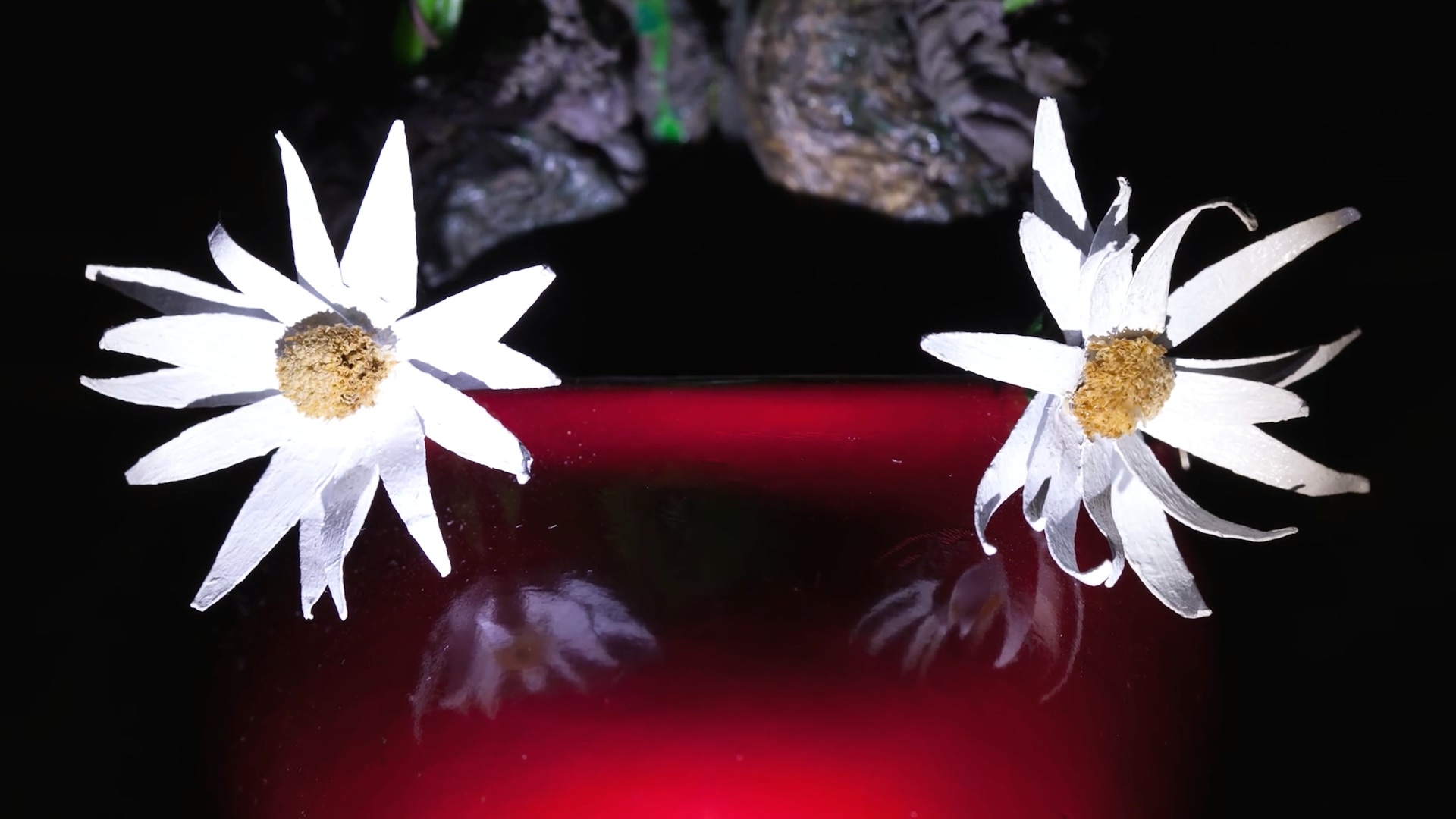 如何用垃圾拍成一部惊艳的电影