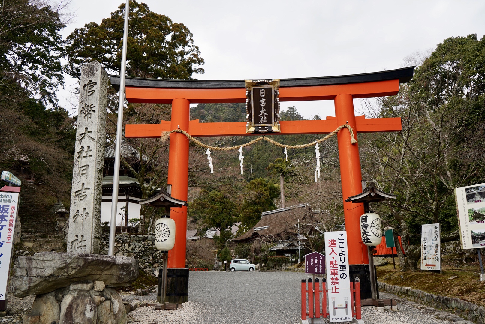 2019日本赏樱最新攻略|大津小众路线私家推荐