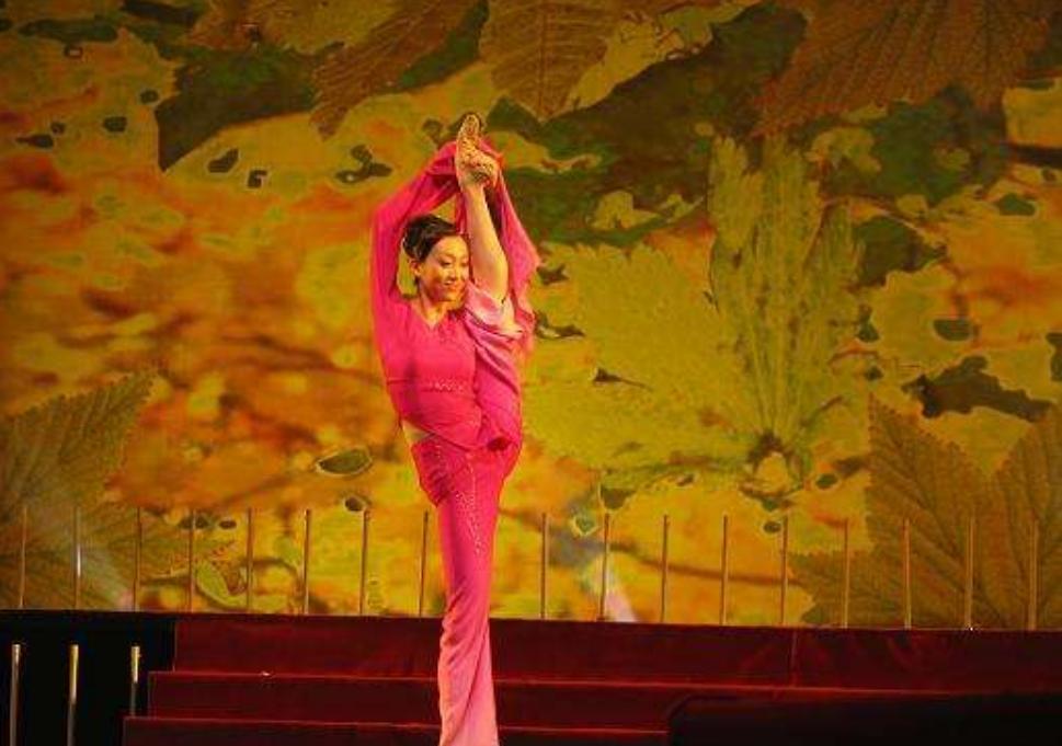 奥运彩排时刘岩意外跌落终身残疾,刘岩瘫痪后的烦恼常人无法想象