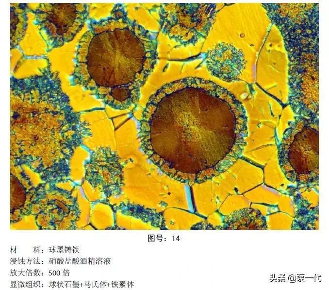 马氏体、奥氏体、珠光体,20种材料彩色金相,带你轻松识别