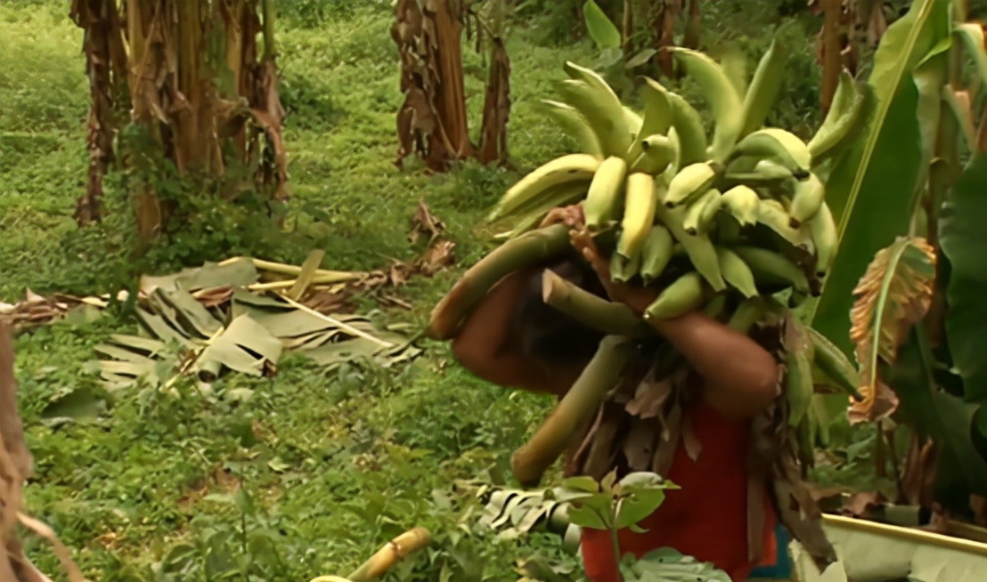 在农村开一家超市的利润,巴拿马开超市需多少资金