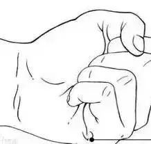 送给中老年朋友的拍打穴位操,人体穴位拍打操30分钟健身操视频