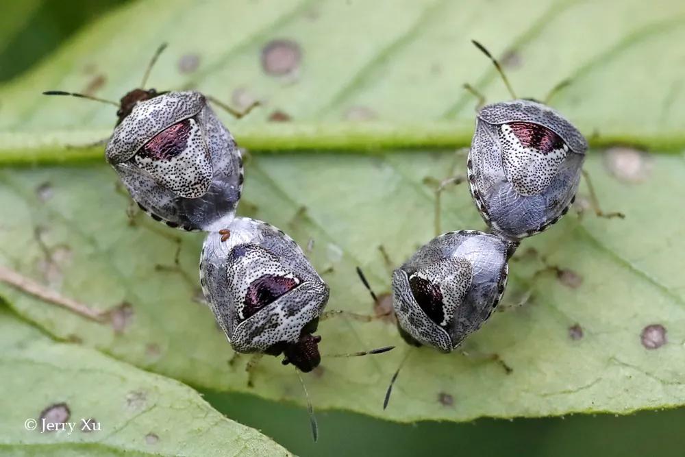 情人节,就该和爱的人*爱做**做的事