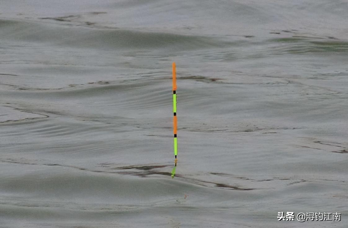 天热钓白条,天热白条上浮怎么钓