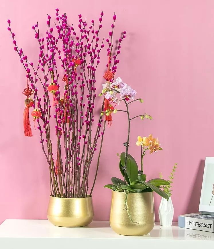 过年家里必摆的九道菜,过年家里摆的喜庆的物件