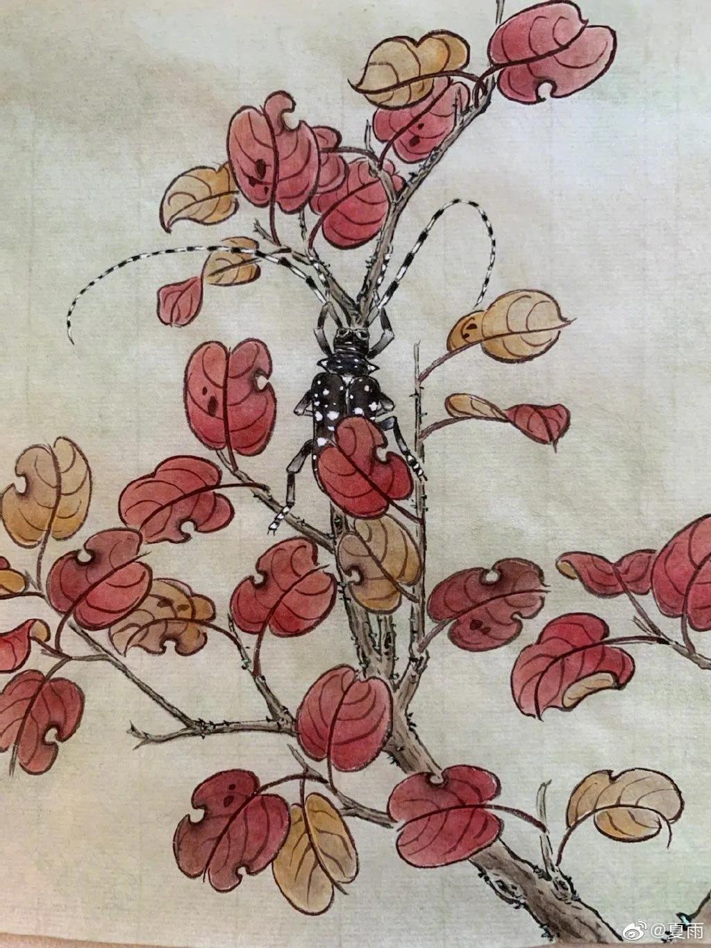 影帝夏雨书法真迹,演员夏雨晒书法作品