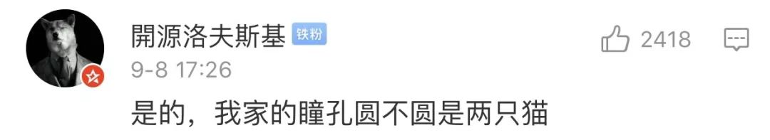 黑猫不吉利是谁说的,黑猫不吉利是真的吗