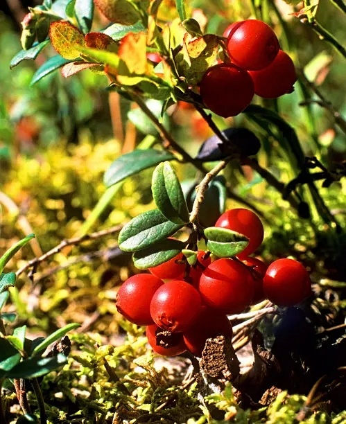 2021十大顶级护肤品排行榜,大牌护肤品成分表推荐