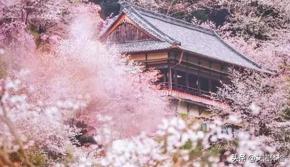 安徽旅行必去的10大景点,安徽旅行攻略必去十大景点