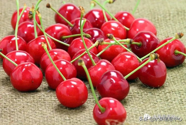 卖樱桃8块一斤十五块两斤的视频,一斤樱桃多少钱