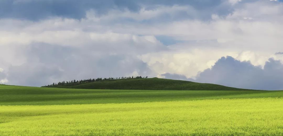 呼伦贝尔感受大自然的美好,呼伦贝尔终生难忘的草原