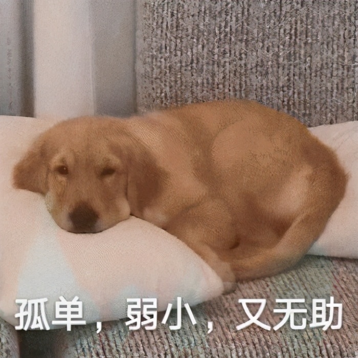 两个月狗狗眼屎多用什么药,狗狗眼屎多什么原因导致的