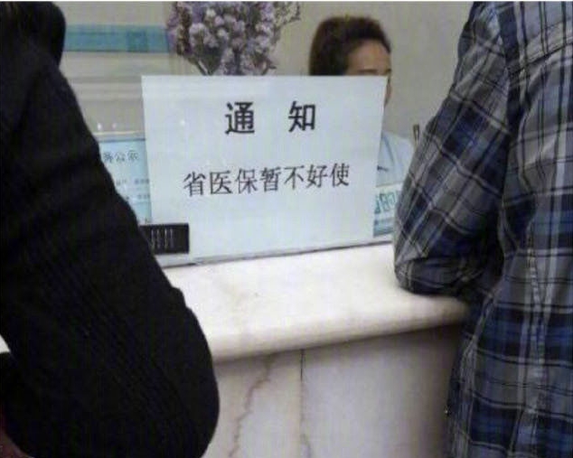 播种一棵树收获一片森林,播种一粒种子收获一份希望