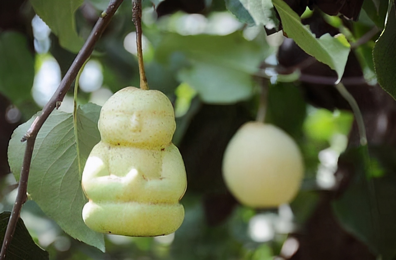 武侠小说卧龙生代表作品,武侠小说卧龙生鬼谷